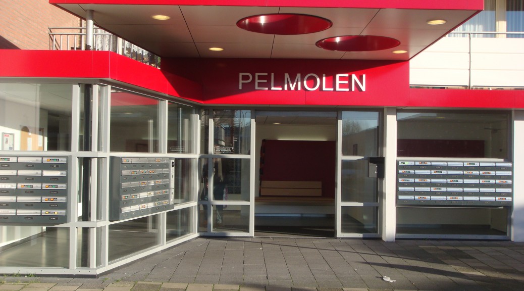 Pelmolen